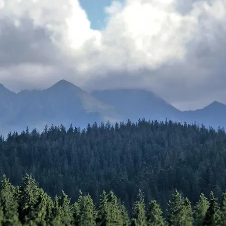 Apartment U Siebie W Gorach Bukowina Tatrzanska