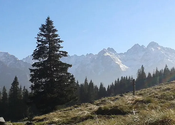 U Siebie W Gorach * Bukowina Tatrzańska